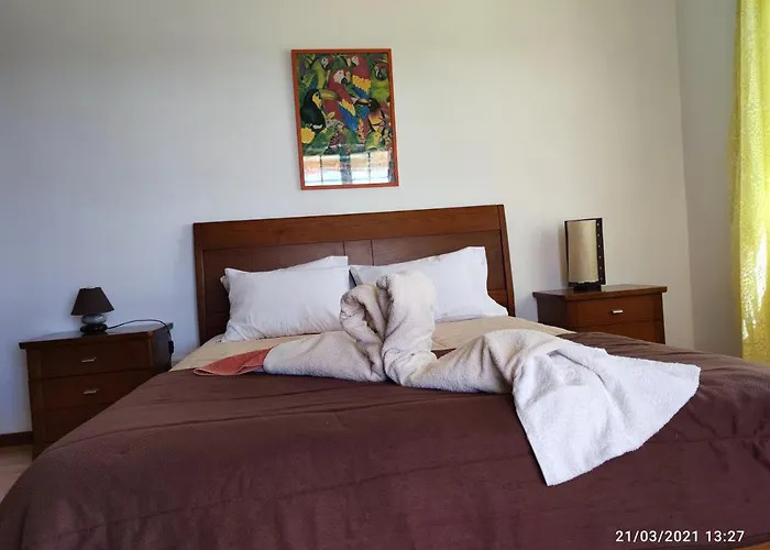 Ramos * البوفيرا