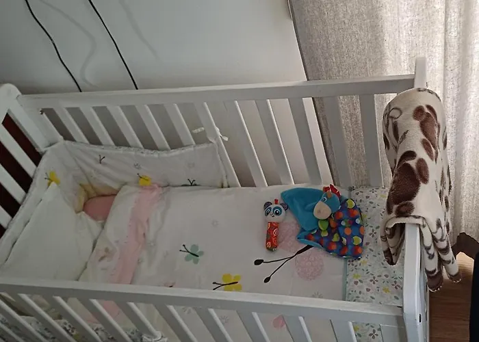 Ramos * البوفيرا